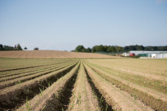 Testaufnahmen mit der Nikon D810.